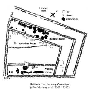 Cerro Baul Brewery plan